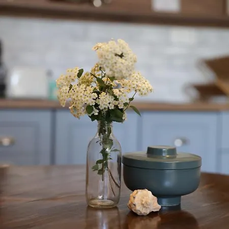 公寓 Dimant 布尔加斯